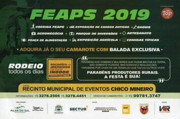 FEAPS 2019
