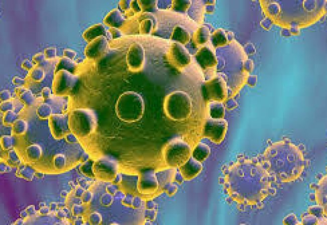 Resoluo Conjunta 01/2020