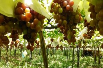 Foto - Diversas - 21/03/2014