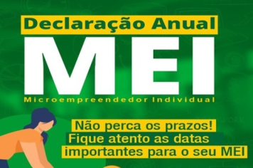 Declaração Anual MEI
